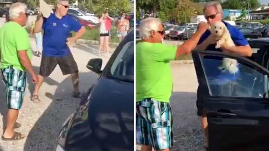 Man Throws Rock Through Window To Save Dog Trapped In Hot Car