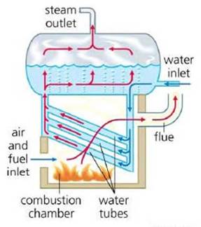 Figure 1: Water Tube Boiler