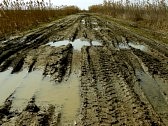 http://us.cdn3.123rf.com/168nwm/dleonis/dleonis1403/dleonis140300032/27443801-dirty-rural-road-with-deep-tire-tracks.jpg